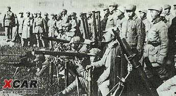 骥的照片,探寻骏马的风华与精神