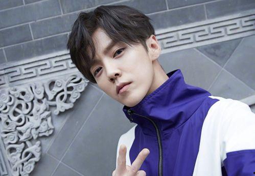 鹿晗现实背景文,从平凡少年到流量偶像的蜕变之路